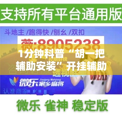 1分钟科普“胡一把辅助安装”开挂辅助教程