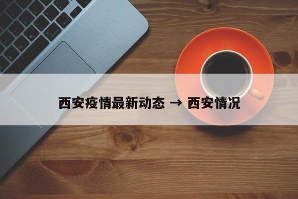 西安疫情最新动态 → 西安情况