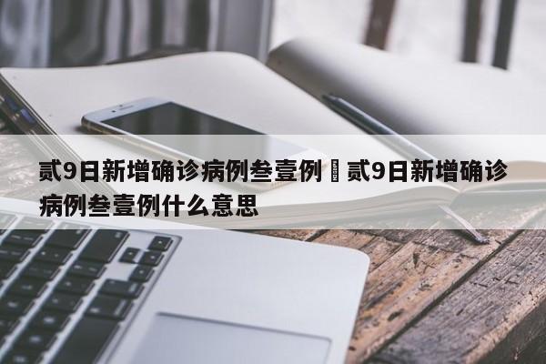 贰9日新增确诊病例叁壹例›贰9日新增确诊病例叁壹例什么意思