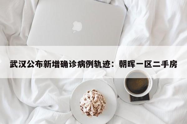 武汉公布新增确诊病例轨迹：朝晖一区二手房