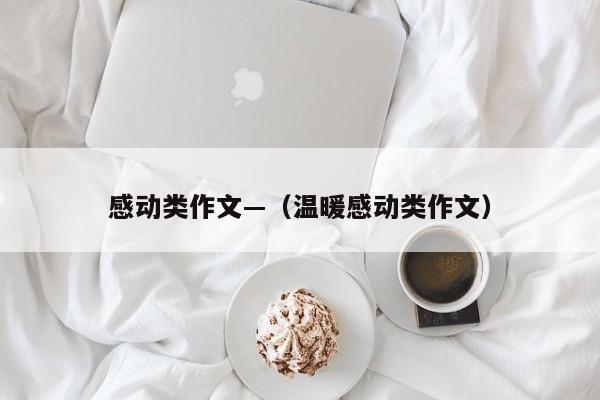 感动类作文—（温暖感动类作文）