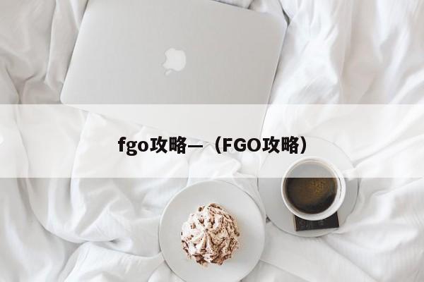 fgo攻略—（FGO攻略）